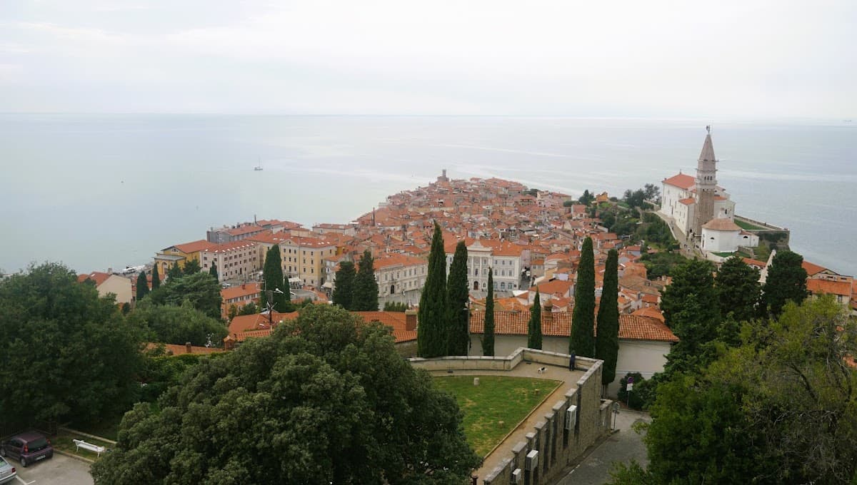Coastal town with red roofs and a church tower overlooking the sea, likely Piran, Slovenia.