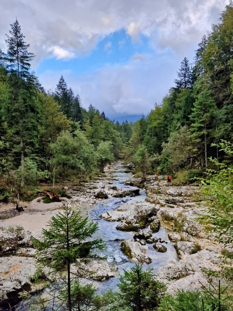 Rocky river flowing through dense green forest under a cloudy blue sky
