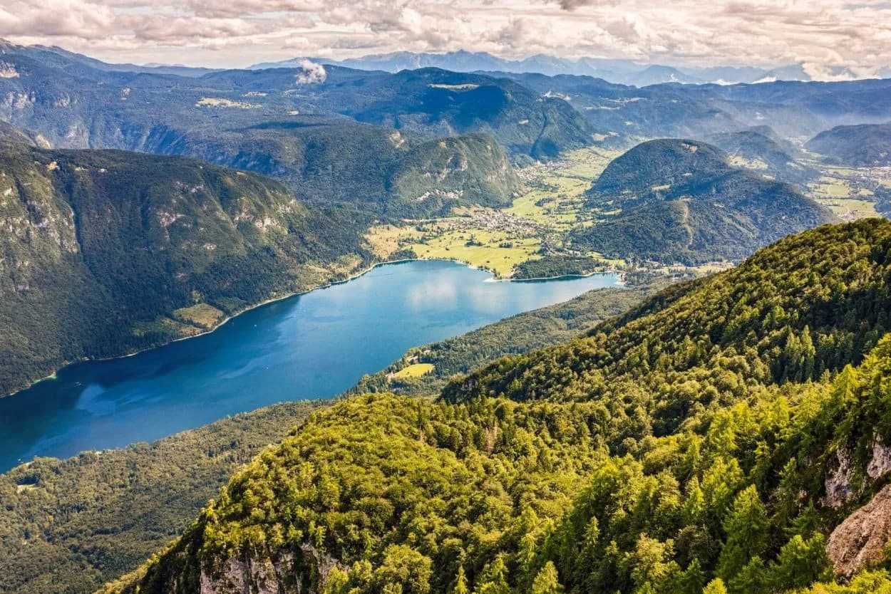 View of Bohinj lake from Vogel showing deep blue water surrounded by green forested mountains.