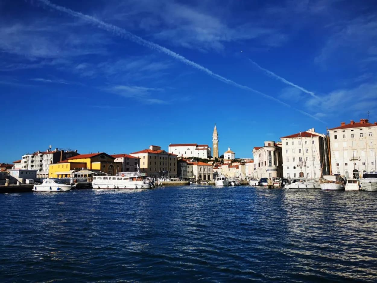 Boats docked in harbor with historic town and bell tower under bright blue sky, Piran.