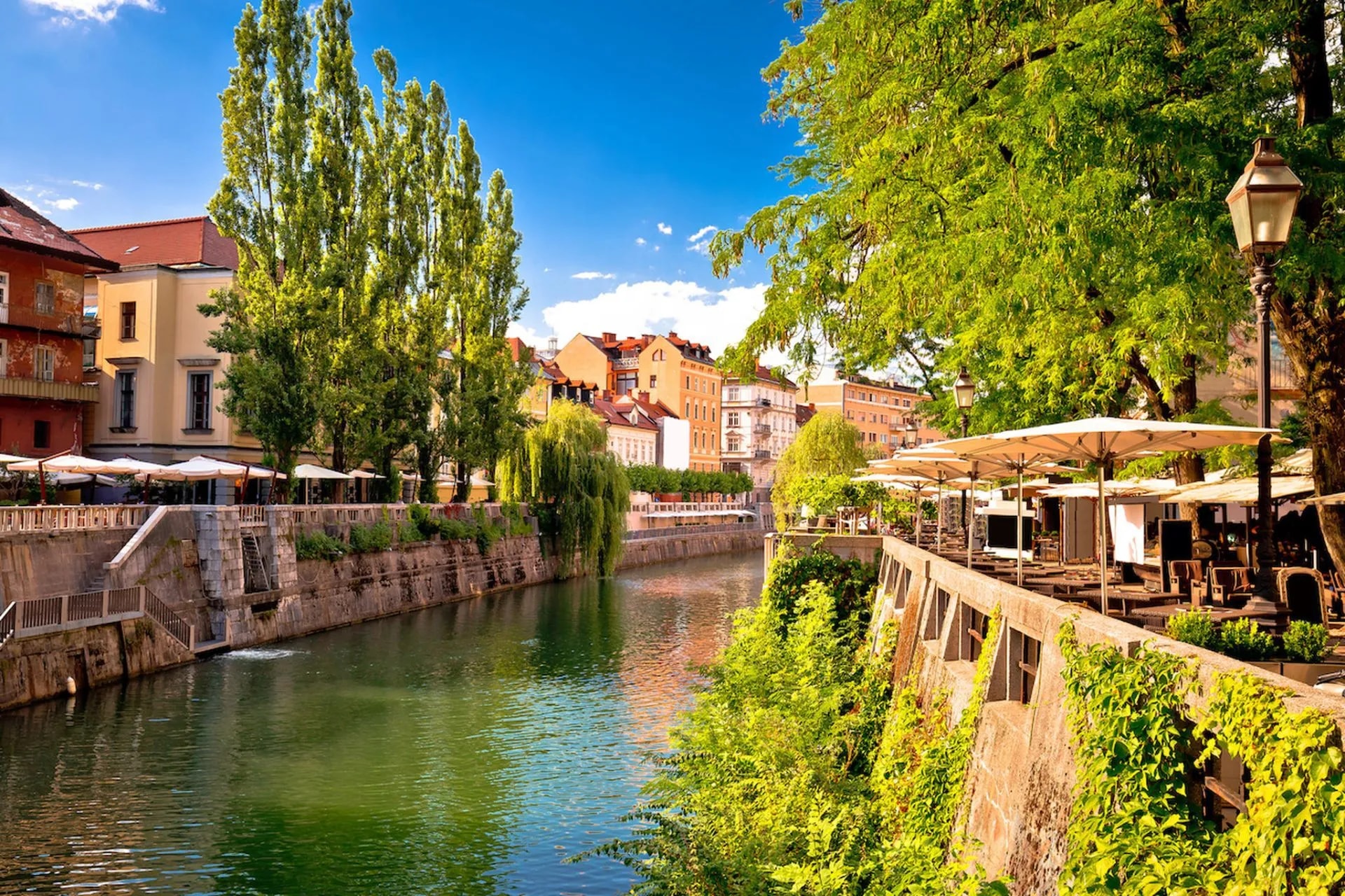 River in Ljubljana with riverside cafes, tall trees, and historic buildings under blue sky.