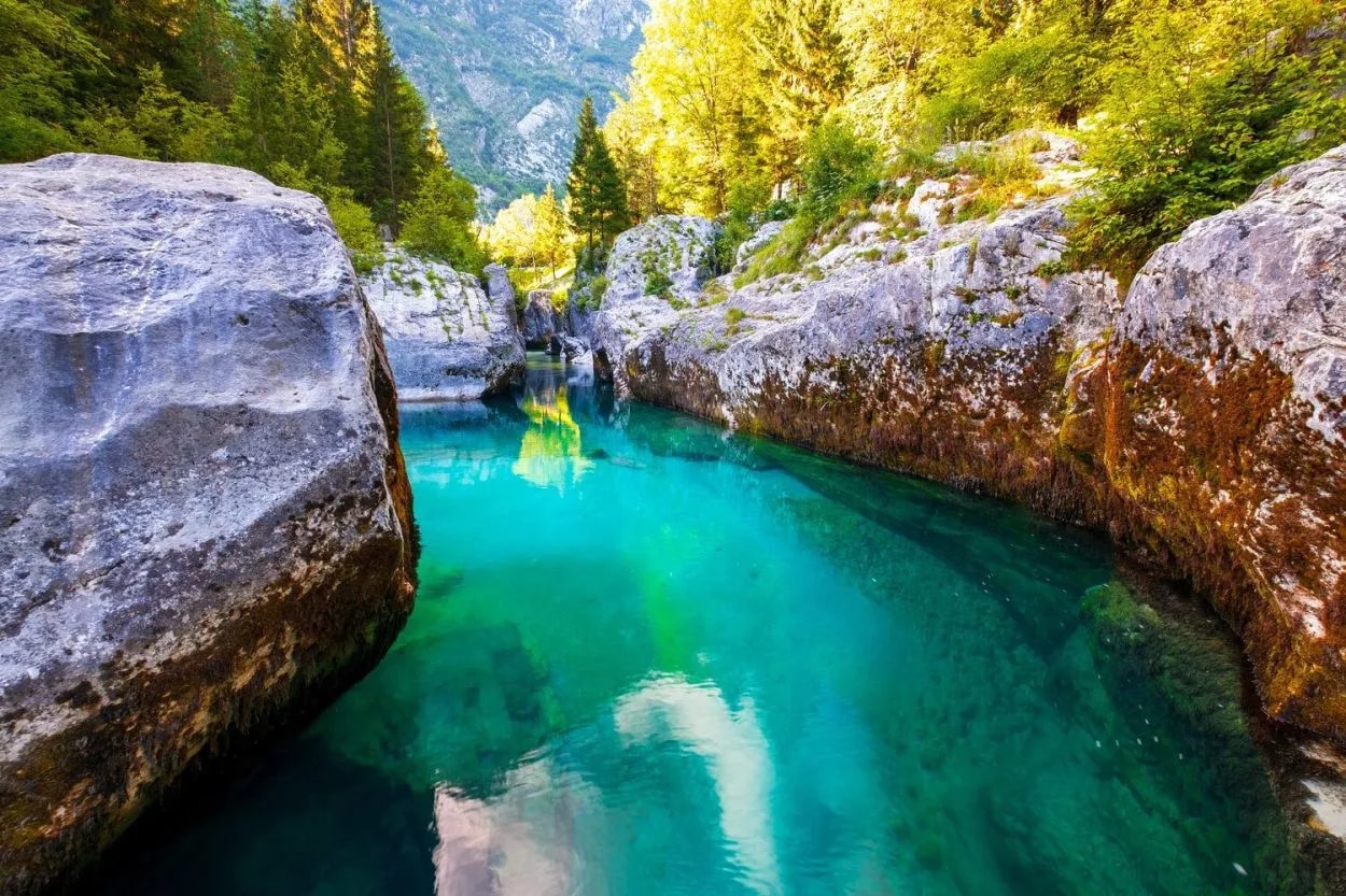 Emerald Soca River flowing between mossy rocks and dense green forest in a gorge.