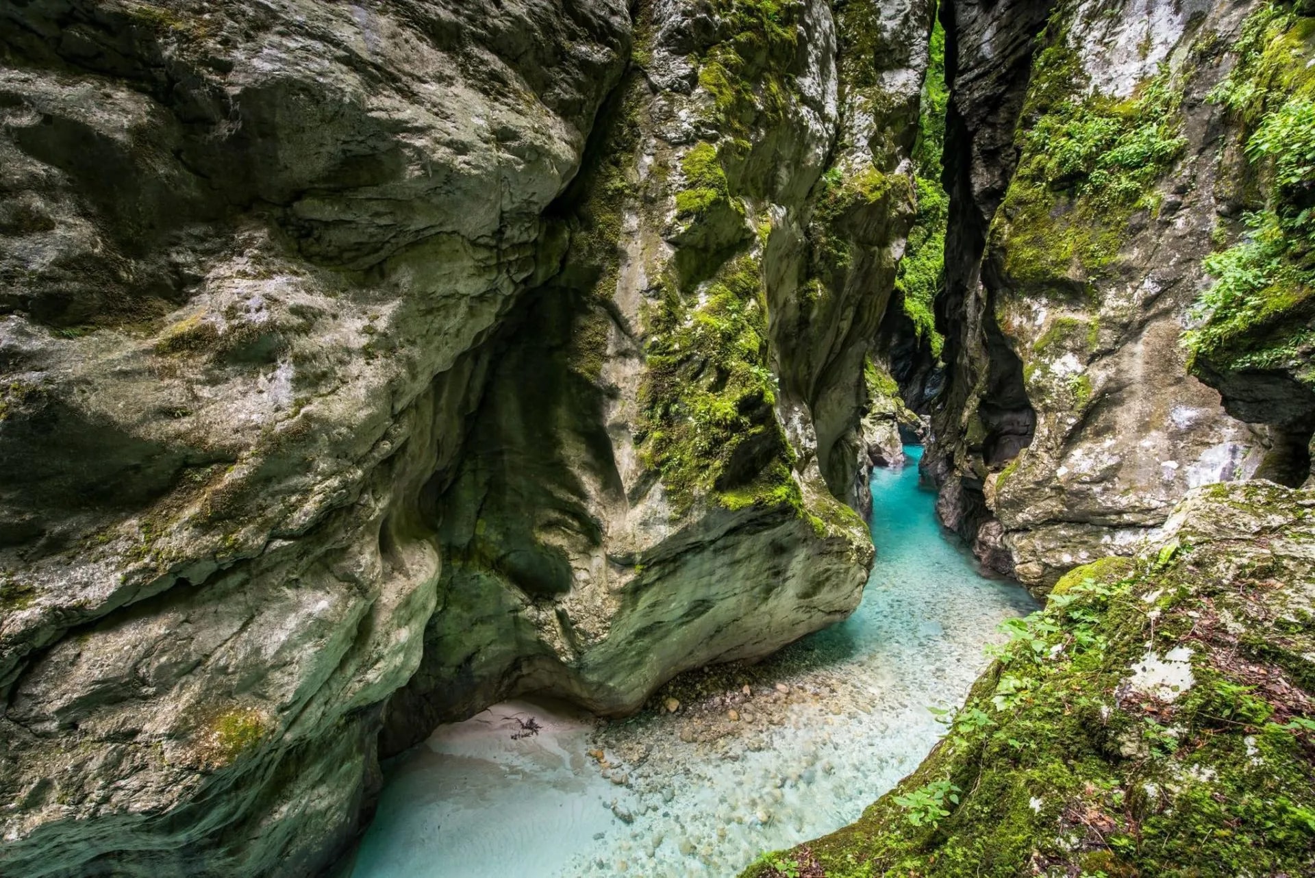 Tolmin Gorge with turquoise river flowing between moss-covered canyon walls