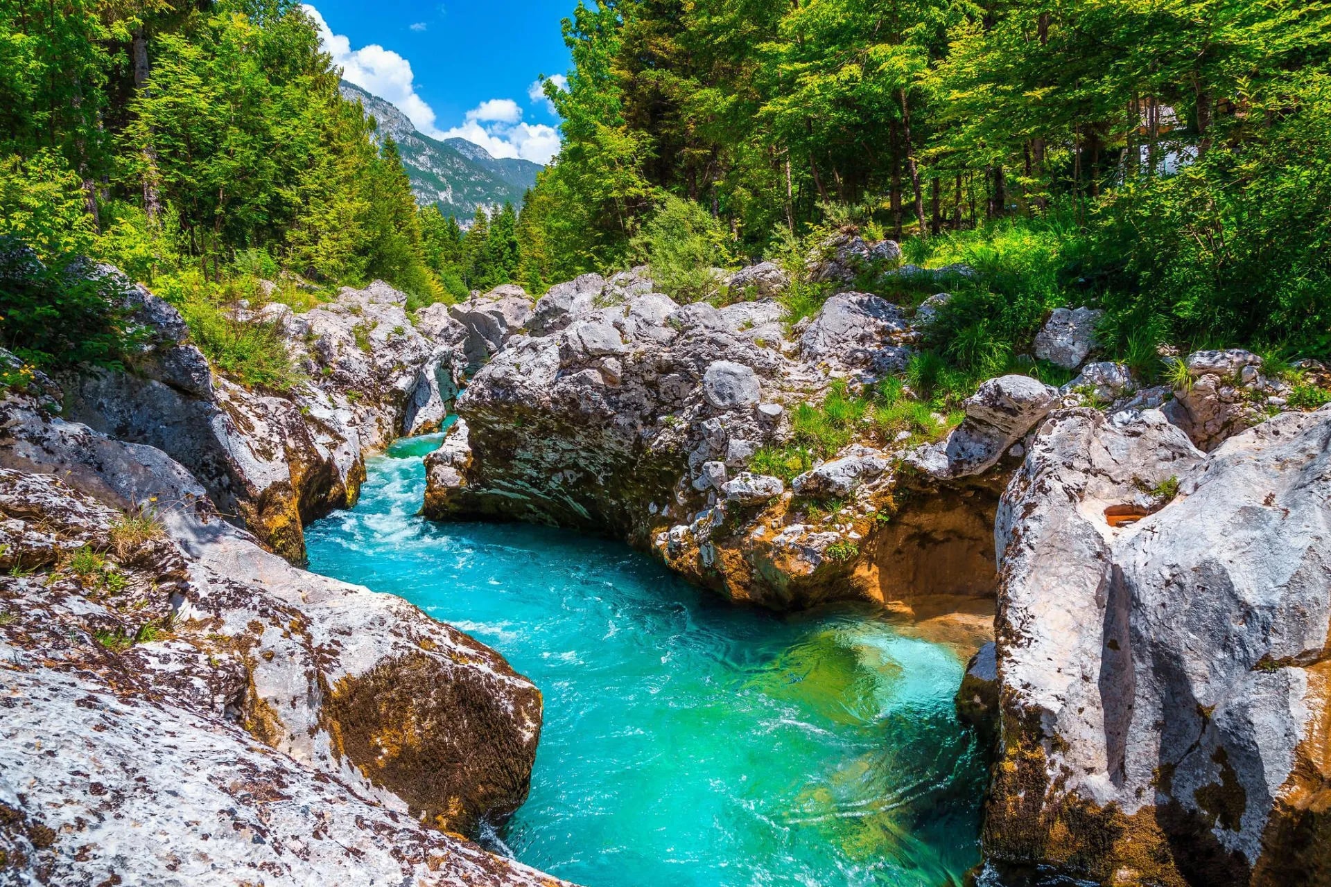 Turquoise river flowing through a rocky gorge surrounded by lush green forest and mountains.