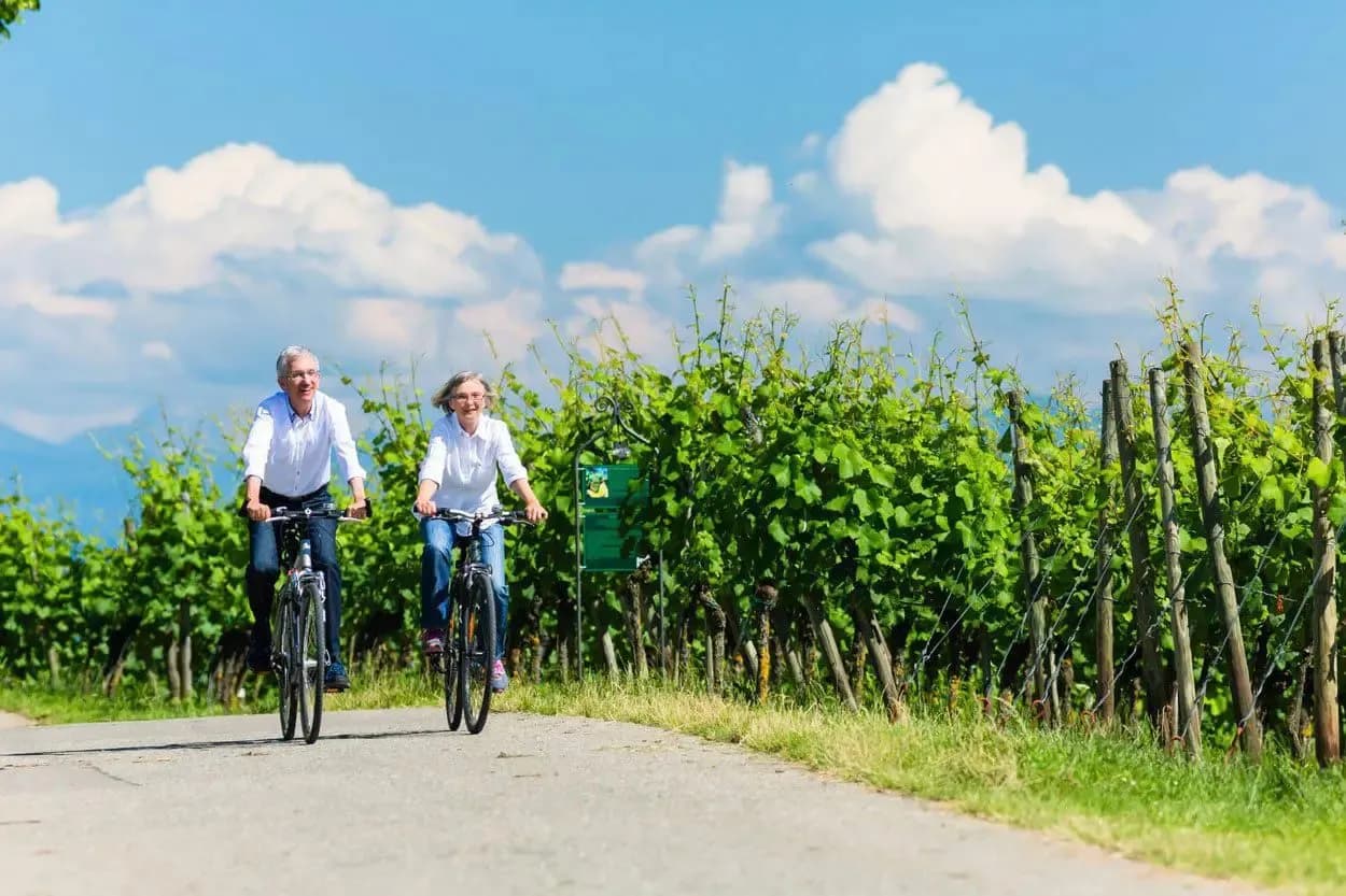 Cycling couple on paved road next to lush green vineyard under blue sky with white clouds.