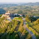 Goriska Brda with vineyards