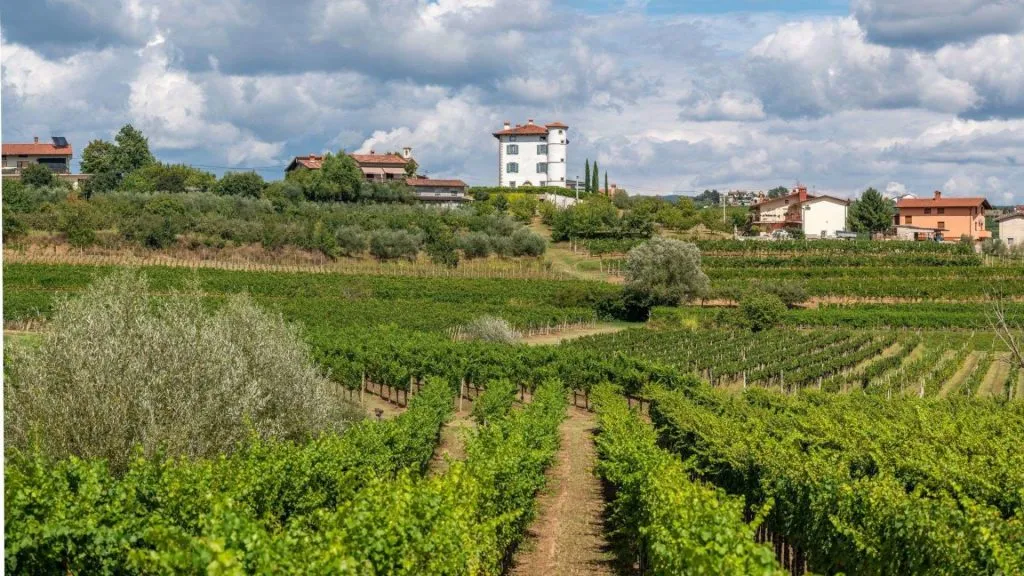 Schloss Gredic inmitten von Weinbergen in Goriska Brda 