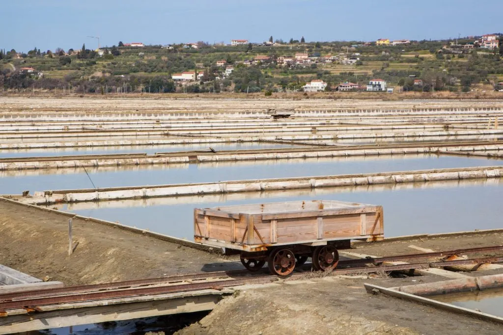 Secovlje Salt production 