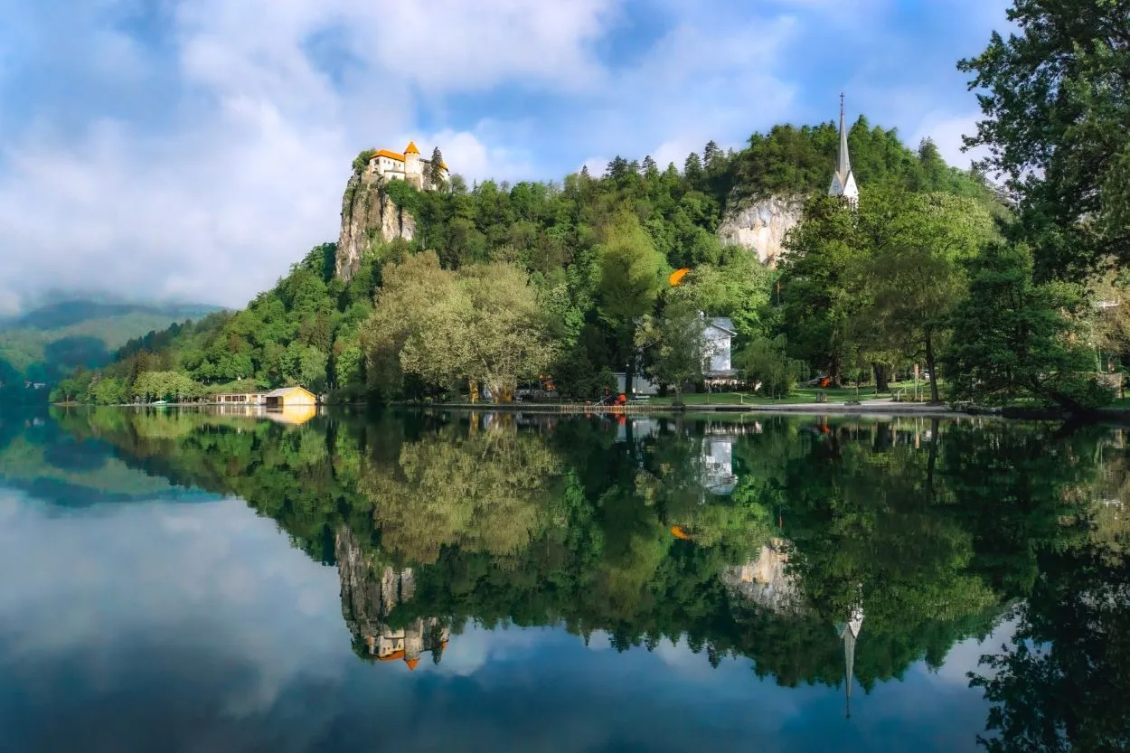 Kust van het meer van Bled