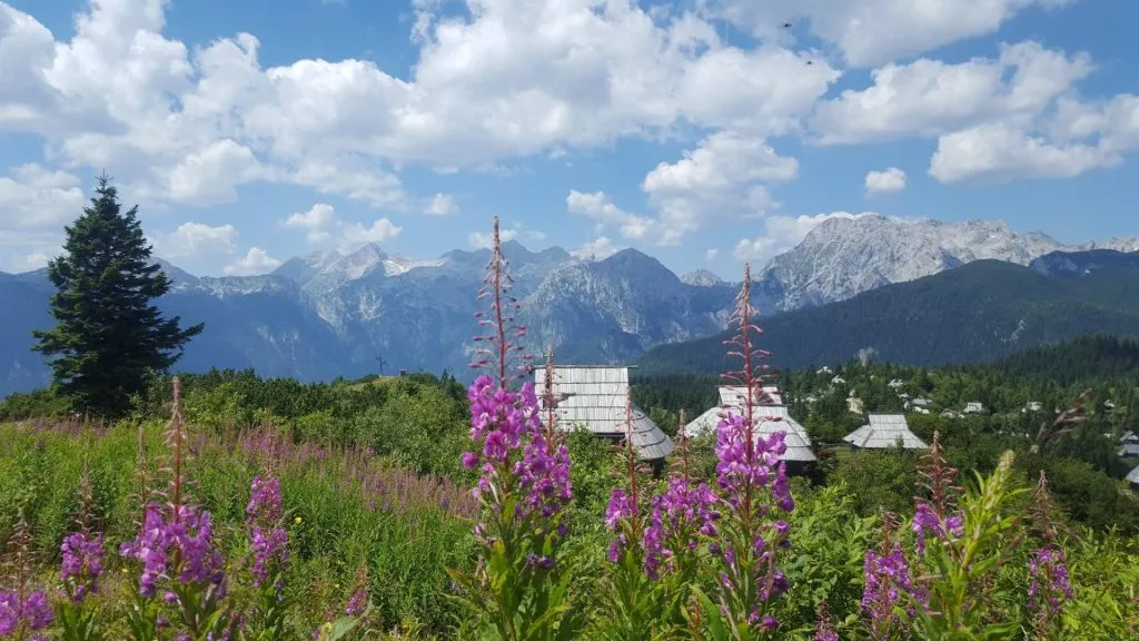 Velika Planina